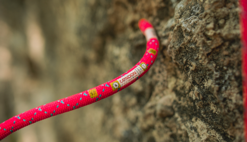 Jak poznat originální lano Tendon?